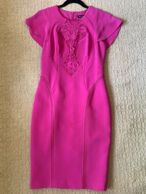 Karen Millen Pink Dress with Embroidered Applique